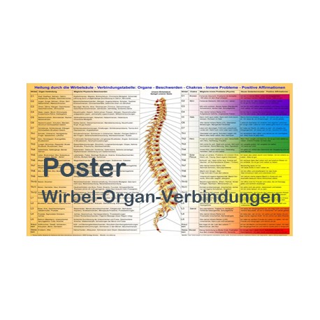 Dorn Methode Poster Wirbel-Organ Verbindungen A3