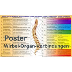 Dorn Methode Poster Wirbel-Organ Verbindungen A3
