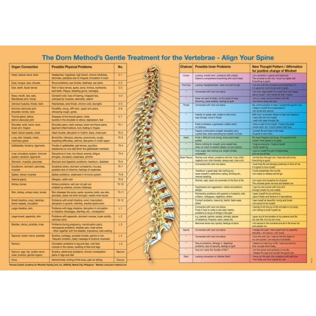 Spine Organ Connections Poster english
