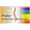 Dorn Poster Wirbel-Organ Verbindungen A3